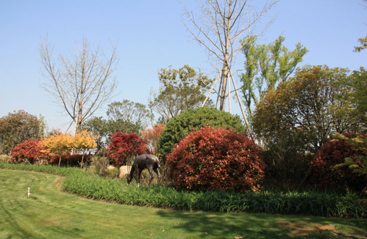 東錢(qián)湖“御景灣”景觀(guān)工程