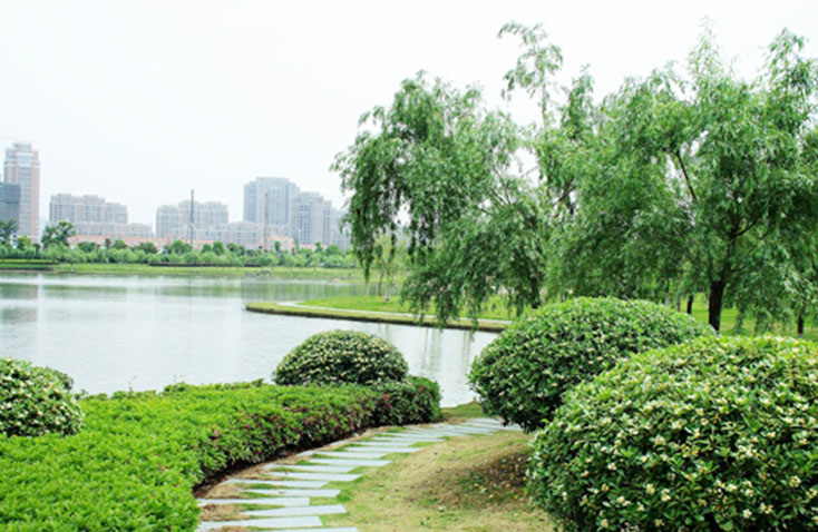 高教園區