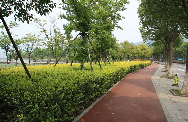 東錢(qián)湖景區綠地