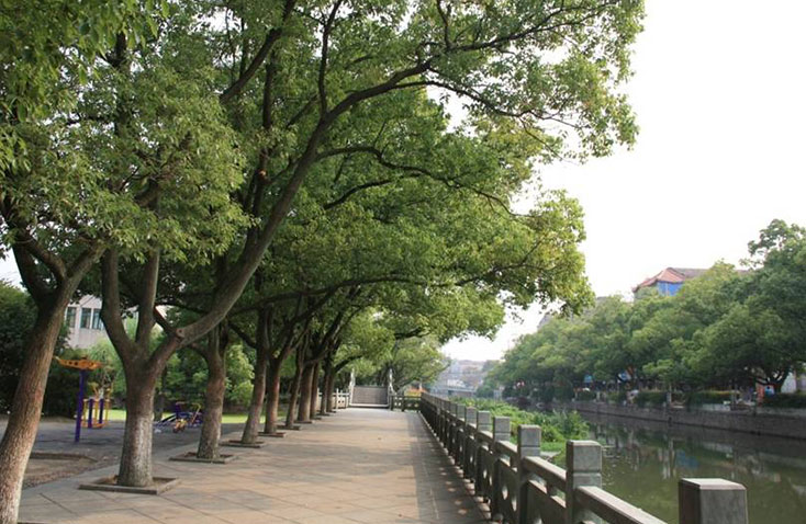 邱隘鎮公共綠地